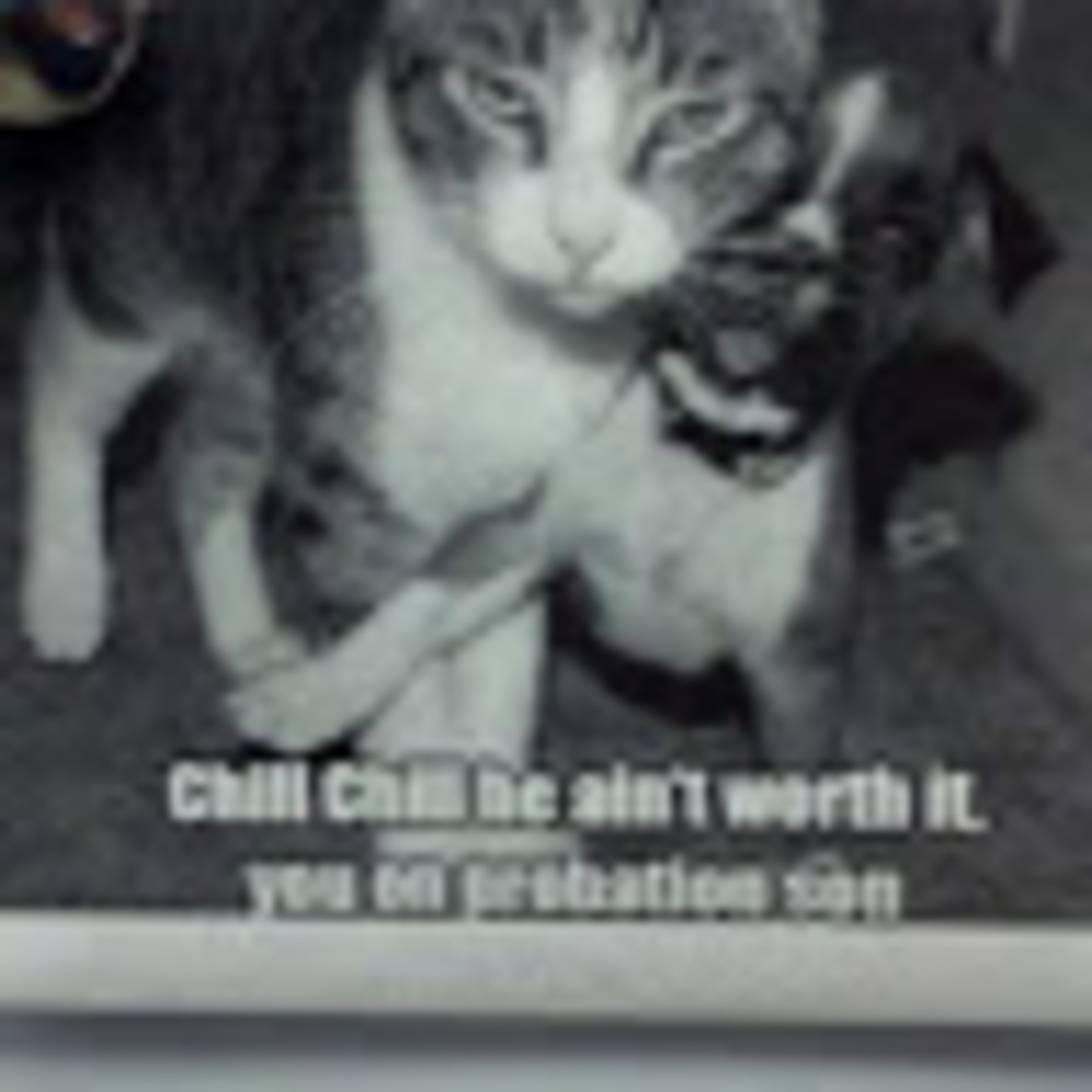 Meet your Posher, Darren